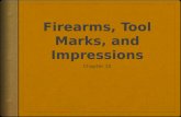 Firearms Identification Determining whether a bullet or cartridge was fired by a particular weapon Includes Bullet comparisons Restoring damaged serial.