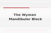 The Wyman Mandibular Block. Only use 25 gauge needle – 27 or smaller give poorer results.