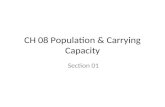 CH 08 Population & Carrying Capacity Section 01. A. POPULATION DYNAMICS AND CARRYING CAPACITY 1.Three general patterns of population distribution occur.