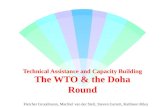 1 Technical Assistance and Capacity Building The WTO & the Doha Round Fletcher Grundmann, Machiel van der Stelt, Steven Garrett, Kathleen Riley.