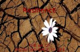 ResiliencE ResiliencE THE art OF BOUNCING BACK TO LIFE THE art OF BOUNCING BACK TO LIFE.