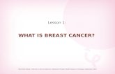 Lesson 1: WHAT IS BREAST CANCER? Manitoba Breast & Womens Cancer Network, Adolescent Breast Health Resource Package, September 2007.