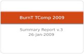 Summary Report v.3 26-Jan-2009 BurnT TComp 2009. Agenda TComp Overall Goals TComp Budget Goal TComp 2009 Budget Summary Estimated Budget for 2010 ART.