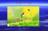 Beginnings By Year 6. Beginnings Beginnings can be new life. By Alexander Hutchinson-Bernard.