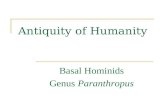 Antiquity of Humanity Basal Hominids Genus Paranthropus.