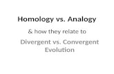Homology vs. Analogy Divergent vs. Convergent Evolution & how they relate to.