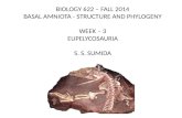 BIOLOGY 622 – FALL 2014 BASAL AMNIOTA - STRUCTURE AND PHYLOGENY WEEK – 3 EUPELYCOSAURIA S. S. SUMIDA.