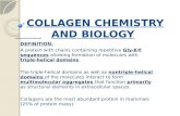 COLLAGEN CHEMISTRY AND BIOLOGY COLLAGEN CHEMISTRY AND BIOLOGY DEFINITION: A protein with chains containing repetitive Gly-X-Y sequences allowing formation.