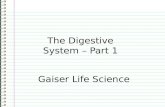 The Digestive System – Part 1 Gaiser Life Science.