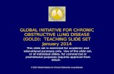 © 2014 Global Initiative for Chronic Obstructive Lung Disease GLOBAL INITIATIVE FOR CHRONIC OBSTRUCTIVE LUNG DISEASE (GOLD): TEACHING SLIDE SET January.