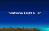 401 California Gold Rush. 402 Starting in 1848, thousands of people began traveling west to search for gold and other precious metals. Few people actually.