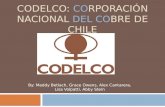 CODELCO: CORPORACIÓN NACIONAL DEL COBRE DE CHILE By: Maddy Betlach, Grace Owens, Alex Cantarera, Lisa Volpatti, Abby Stein.