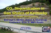 CO 2 Sequestration in Gas Shales of Kentucky Brandon C. Nuttall, James A. Drahovzal, Cortland F. Eble, R. Marc Bustin U.S. DOE/NETL DE-FC26-02NT41442 AAPG.