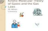 Kinetic Molecular Theory of Gases and the Gas Laws Mr. Nelson Chemistry.