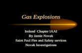 Gas Explosions Ireland Chapter IAAI By Jamie Novak Saint Paul Fire and Safety services Novak Investigations.