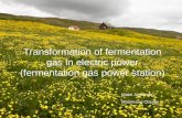 Transformation of fermentation gas in electric power (fermentation gas power station) Matei Alexandru Mosneang Claudiu.