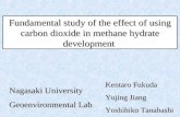 Fundamental study of the effect of using carbon dioxide in methane hydrate development Kentaro Fukuda Yujing Jiang Yoshihiko Tanahashi Nagasaki University.