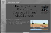 Shale gas in Poland – prospects and challenges Marcin Lutyński Silesian University of Technology Gliwice, Poland U NCONVENTIONAL G AS & CO 2 S TORAGE L.