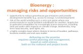 Bioenergy : managing risks and opportunities oopportunity to reduce greenhouse gas emissions and provide development benefits (e.g. access to energy; rural.