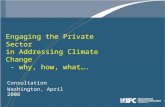 Engaging the Private Sector in Addressing Climate Change - why, how, what…. Consultation Washington, April 2008.