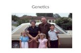 Genetics. Genetics is the science of heredity Genetics explains how genes bring about characteristics in living organisms and how those characteristics.