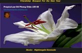 Music: Nightengale Serenade Friendship Bouquet For the New Year Proposé par Dô Phong Châu JJR 68 .