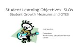 Student Learning Objectives -SLOs Student Growth Measures and OTES Gail Martino Consultant Stark County Educational Service Center.