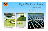 Algal Photosynthesis_dismukes