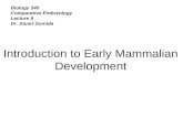 Biology 340 Comparative Embryology Lecture 9 Dr. Stuart Sumida Introduction to Early Mammalian Development.