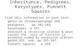 Inheritance, Pedigrees, Karyotypes, Punnett Squares Find this information in your text: genes on chromosomespage 350 pedigrees pp 342-343 karyotypes p.