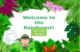 Welcome to the Rainforest! Lets Get Started Lets Get Started