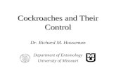 Cockroaches and Their Control Dr. Richard M. Houseman Department of Entomology University of Missouri.