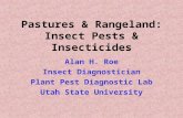 Pastures & Rangeland: Insect Pests & Insecticides Alan H. Roe Insect Diagnostician Plant Pest Diagnostic Lab Utah State University.