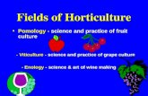 Fields of Horticulture Pomology - science and practice of fruit culturePomology - science and practice of fruit culture - Viticulture - science and practice.