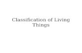 Classification of Living Things. Tools Used to Classify Organisms 1. Comparative Morphology Compares Physical Structures, Traits 2. Evolutionary Relationships.