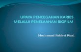 Mochamad Fahlevi Rizal. Infeksi akibat biofilm Perkembangan teori biofilm.