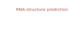 RNA structure prediction. RNA functions RNA functions as –mRNA –rRNA –tRNA –Nuclear export –Spliceosome –Regulatory molecules (RNAi) –Enzymes –Virus –Retrotransposons.