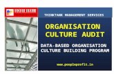 ORGANISATION CULTURE AUDIT DATA-BASED ORGANISATION CULTURE BUILDING PROGRAM   THINKTANK MANAGEMENT SERVICES THINKTANK MANAGEMENT SERVICES
