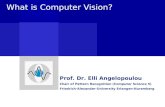 What is Computer Vision? Prof. Dr. Elli Angelopoulou Chair of Pattern Recognition (Computer Science 5) Friedrich-Alexander-University Erlangen-Nuremberg.