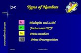 Level 2 23-Aug-14Created by Mr. Lafferty Multiples and LCM Factors and HCF Types of Numbers  Prime numbers Prime Decomposition.