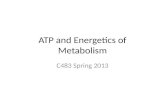 ATP and Energetics of Metabolism C483 Spring 2013.