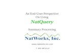 An End-User Perspective On Using NatQuery Summary Processing  T. 802 485 6112.