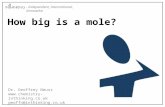 Dr. Geoffrey Neuss  geoffn@inthinking.co.uk - Independent, International, Innovative How big is a mole?