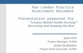 Pan London Practice Assessment Document Presentation prepared for “ London Mental Health Nursing: Recruiting and Growing the Best” Jane Fish Project Manager,