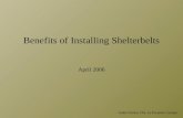 André Vézina, ITA, La Pocatière Campus Benefits of Installing Shelterbelts April 2006.
