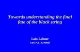 Towards understanding the final fate of the black string Luis Lehner UBC-CITA-PIMS.