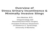 Overview of Stress Urinary Incontinence & Minimally Invasive Slings Ken Maslow, M.D. Urogynecology and Reconstructive Pelvic Surgery Assistant Professor.