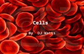 Cells By DJ Watts. The Cell Theory 1) All organisms are composed of one or more cells 2) Cells are the smallest unit of life 3) All cells come from pre-existing.