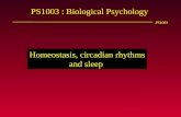 PS1003 PS1003 : Biological Psychology Homeostasis, circadian rhythms and sleep.