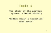 1 Topic 1 The study of the nervous system: a brief history PS3002: Brain & Cognition John Beech.